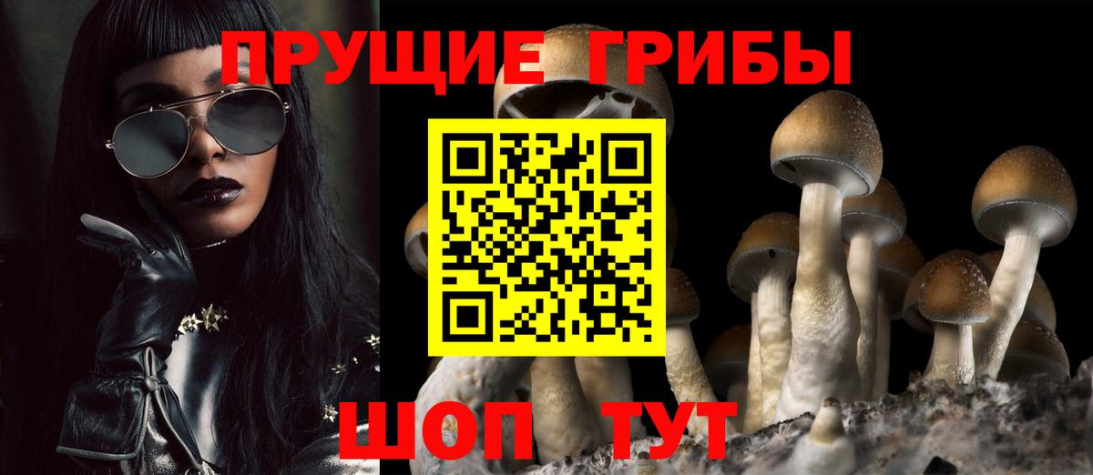 Галлюциногенные грибы Cubensis Калининград