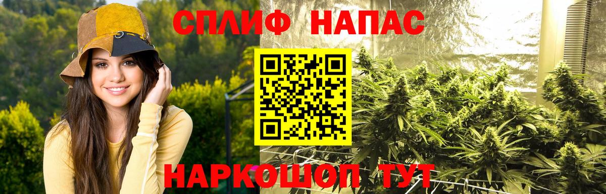 Шишки марихуана семена Калининград